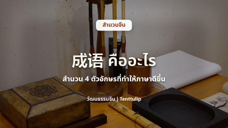 ปกบทความ成语คืออะไร สำนวนจีน 4 ตัวอักษรที่ทำให้ภาษาดีขึ้น