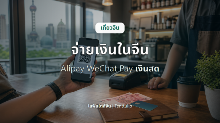 ปกบทความจ่ายเงินในจีนด้วย Alipay WeChat Pay เงินสด และบัตรต่างประเทศ