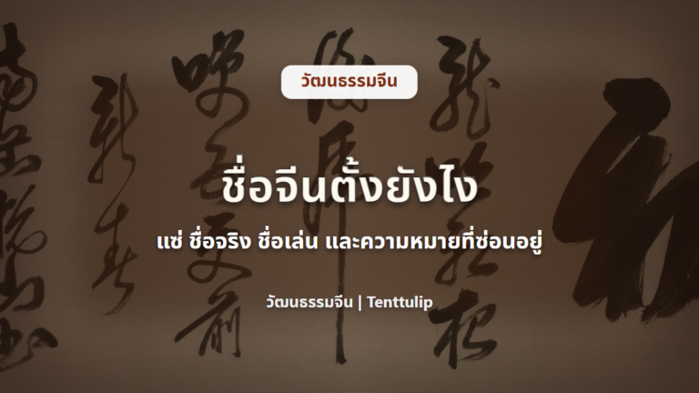 ปกบทความชื่อจีนตั้งยังไง แซ่ ชื่อจริง ชื่อเล่น และความหมายที่ซ่อนอยู่