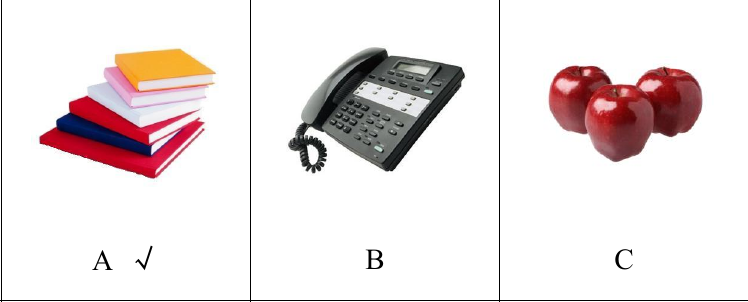 ตัวอย่างรูป A B C ข้อฟังส่วนที่ 2