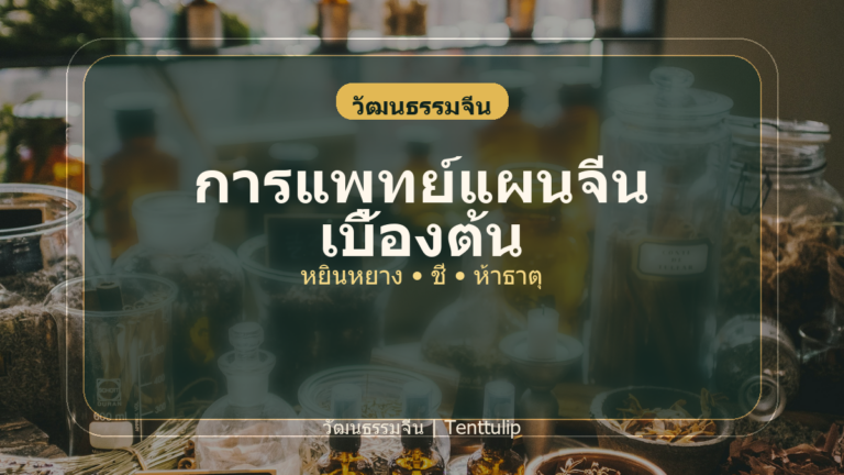 ปกบทความการแพทย์แผนจีนเบื้องต้น หยินหยาง ชี่ และห้าธาตุ