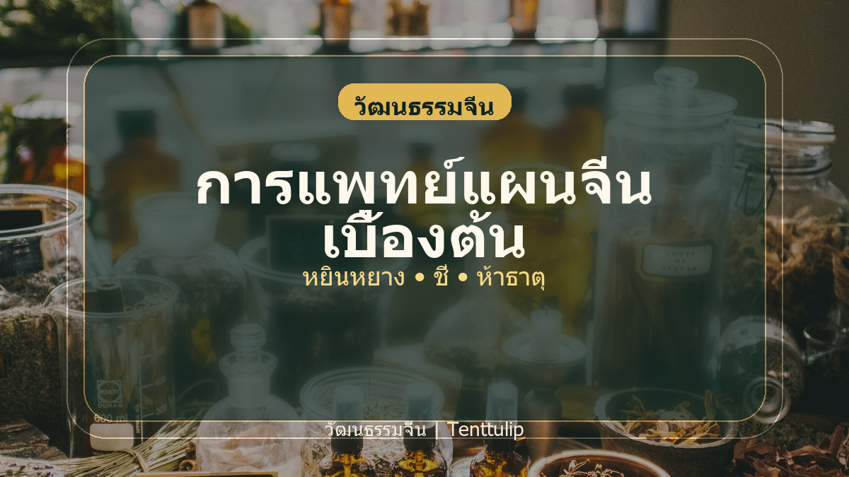ปกบทความการแพทย์แผนจีนเบื้องต้น หยินหยาง ชี่ และห้าธาตุ