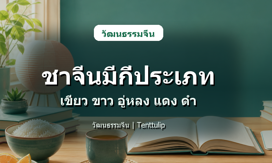 ปกบทความชาจีนมีกี่ประเภท เขียว ขาว อู่หลง แดง ดำ และผู่เอ๋อร์