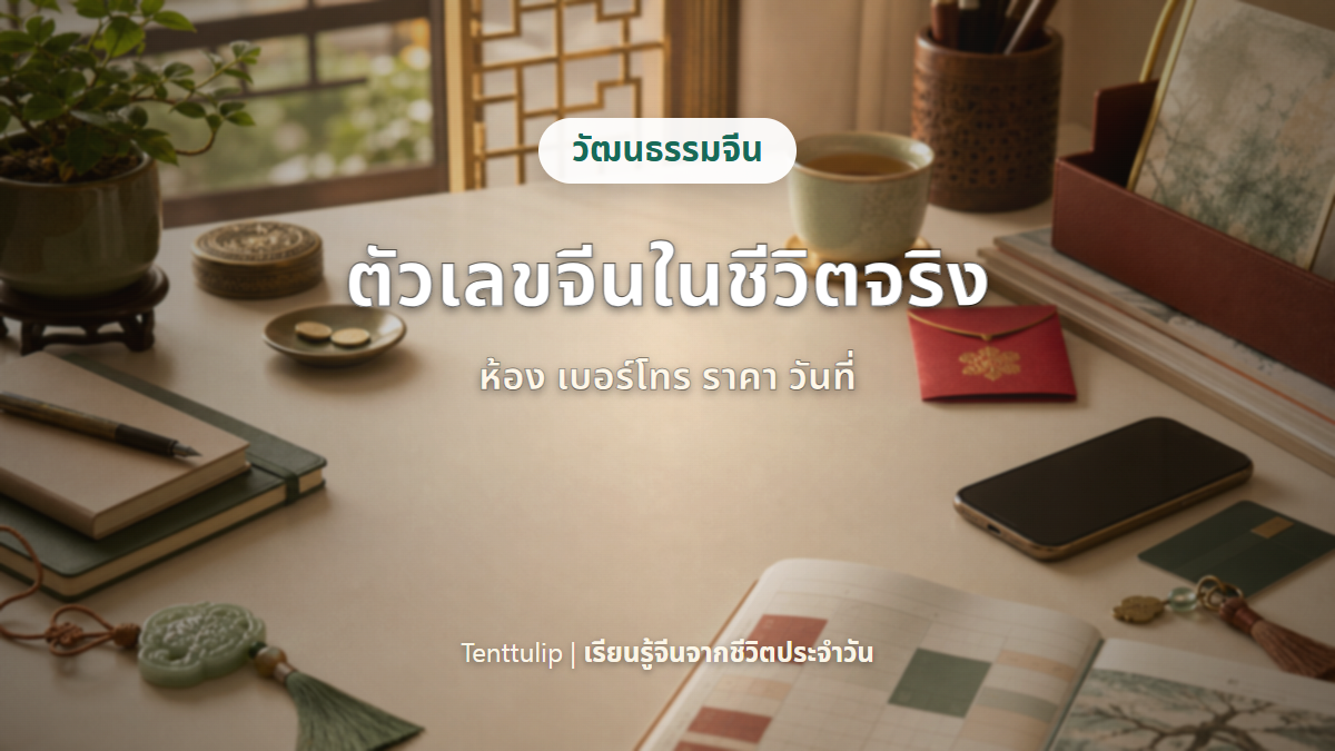 ปกบทความตัวเลขจีนในชีวิตจริง ห้อง เบอร์โทร ราคา วันที่ และเลขมงคล