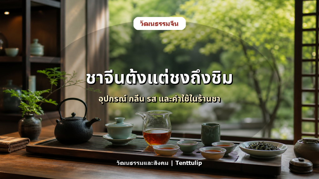 ปกบทความ ชาจีนกับคำศัพท์ที่เจอบ่อย: 泡茶 茶具 茶馆 回甘