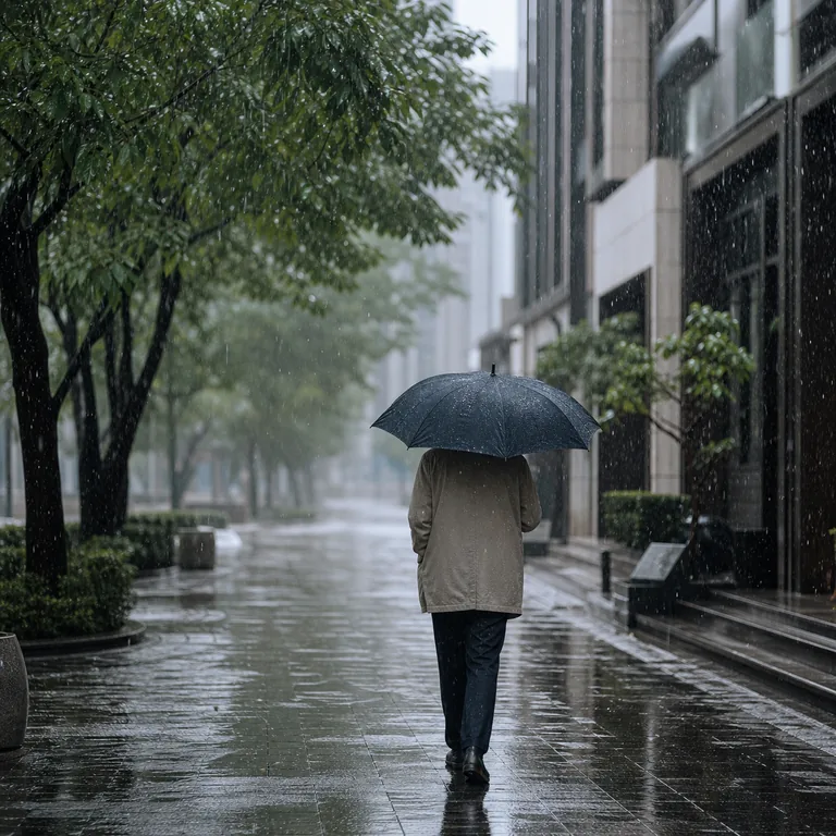 ภาพประกอบคำศัพท์จีน 雨 คนกำลังเดินกางร่มท่ามกลางสายฝน