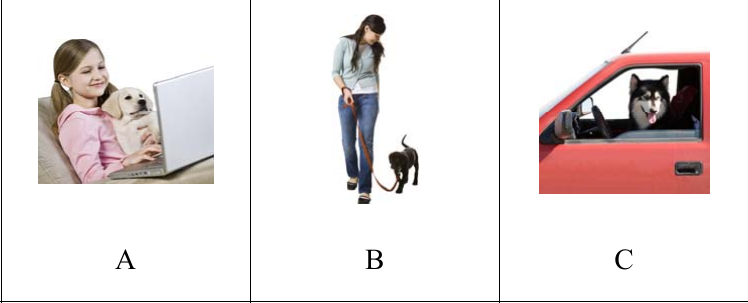 รูปตัวเลือก A B C ข้อ 7