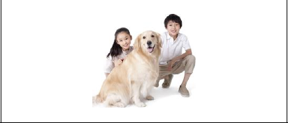 รูปประกอบข้อ 9