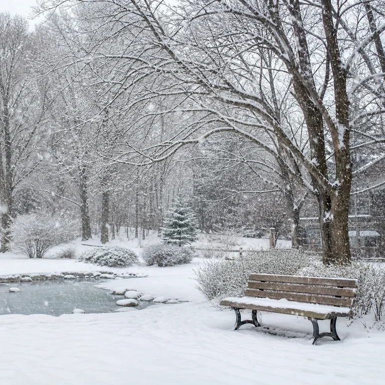ภาพหิมะกำลังตกในสวน สื่อความหมาย 下雪 ว่าหิมะตก