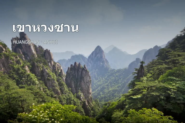 ภาพปกแนวยอดเขาหินและป่าสนของหวงซาน พร้อมชื่อเขาหวงซานภาษาไทย